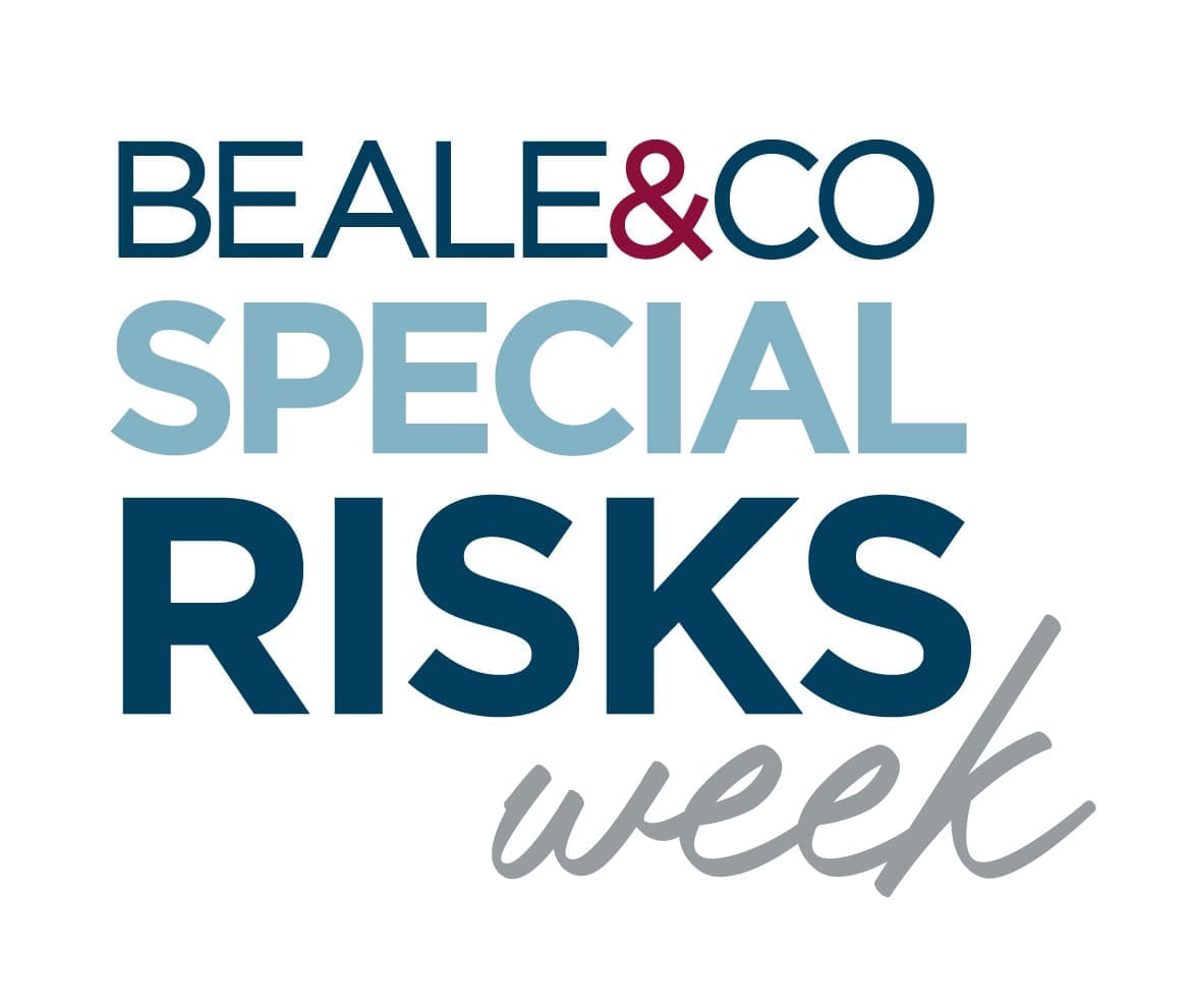 Compliance with financial sanctions regimes: A special risk for ...